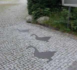 Pfarrkirche St. Martin