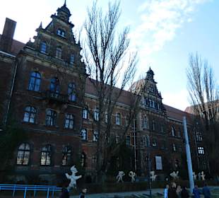 Stare Miasto Wrocław