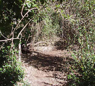 Unterwegs auf den Wanderwegen