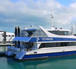 Katamaran für 3 Island Tour