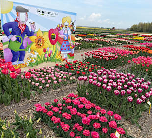 Floratuin Julianadorp