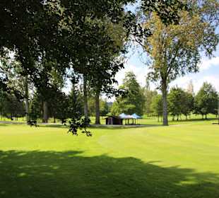 Gelände mit Bäumen