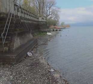 Schloss Windegg Niederzell