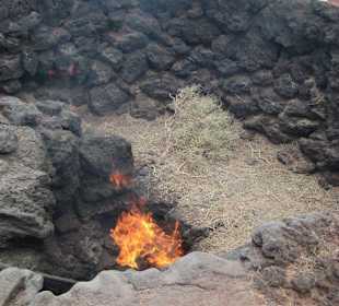 Brennendes Gestrüpp
