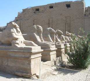 Karnak-Tempel / Luxor