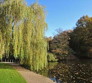 Eindrücke aus dem Bürgerpark Bremerhaven