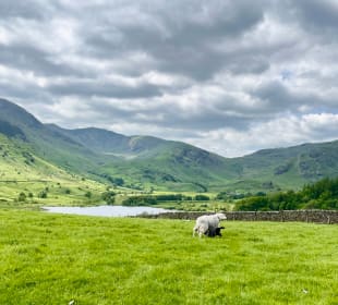 Phantastische Ausblicke