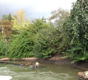 Erlebnispark Tripsdrill