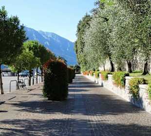 Spaziergang über die morgendliche Uferpromenade