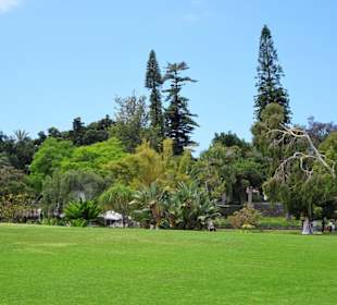 Spaziergang durch den Parque de Santa Catarina