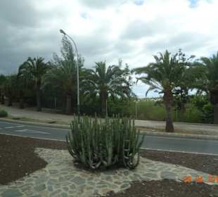 Tour Gran Canaria