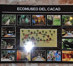 Kakaomuseum 
