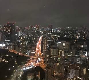Aussicht vom Tokyo Tower
