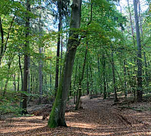 Wandern Trassenheide