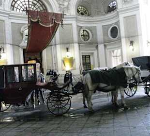 Spanische Hofreitschule