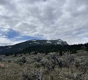 Yellowstone Nationalpark