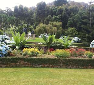 Mazumbai Regenwaldgartenbereich. 