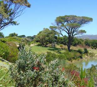 Cape Point Vineyards in Noordhoek
