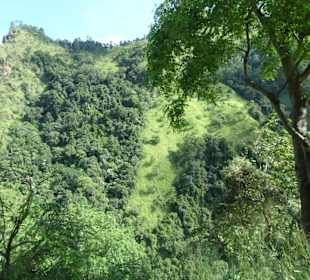 Elefantenreiten Sigiriya