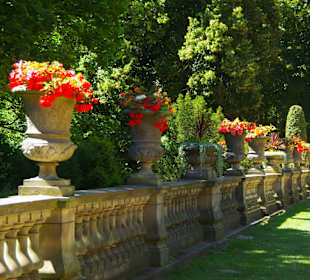 Herrliche Blumenpracht