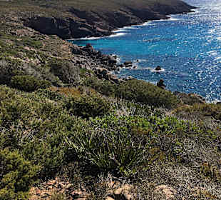 Inselrundfahrt Sardinien