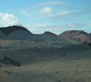 Immer wieder eine andere Sicht