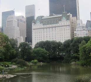 Blick aus dem Central Park