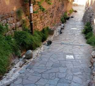 San Blas-The Artists District