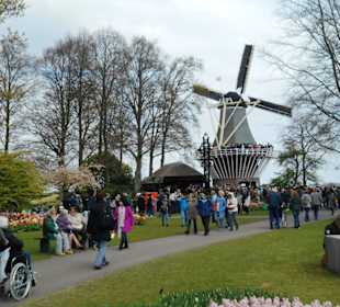 Keukenhof