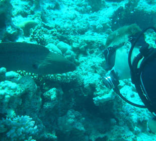 Wer beobachtet hier wen?