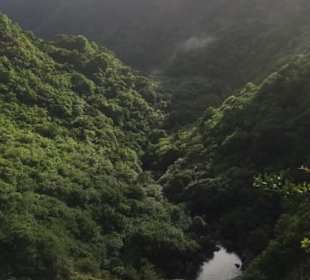 Tamarin Wasserfall