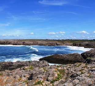 Fahrt entlang der Küste