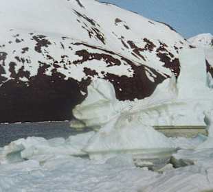 Eisberge in der Portage See