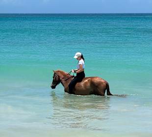 Im Meer mit Pferd baden
