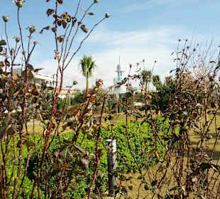 Promenade vorm Hotel 25