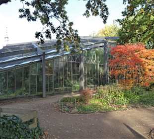 Die Tropengewächshäuser in "Planten un Blomen"