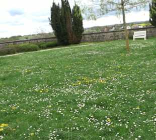 Schloss ob Ellwangen