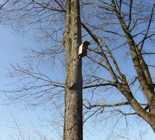 Rundwanderung Haimhausen