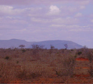 Die Landschaft im Nationalpark