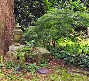 Кладбище Ольсдорф, Гамбург, 16 сентября 2013 года