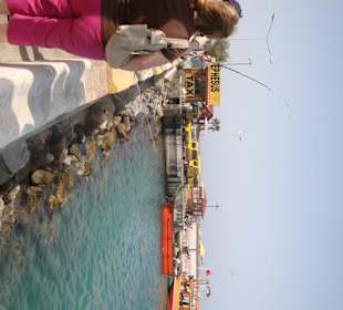 Tintenfisch am Hafen