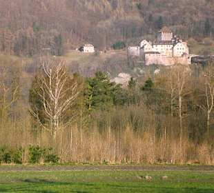 Schloss Vaduz im Lichtenstein