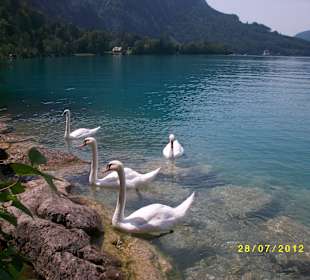 Attersee (Badesee)