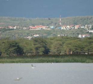 Lake Naivasha