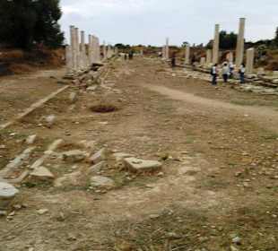 Weitere Bilder zur Anlage