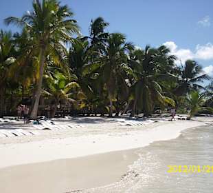 Saona