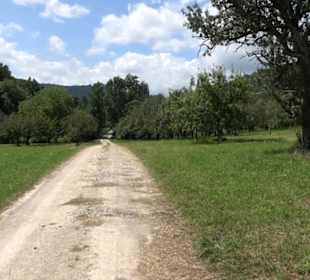 Hochgehnießen - Premiumspazierwanderweg