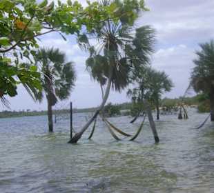 Buggy tour lagoa de paraiso