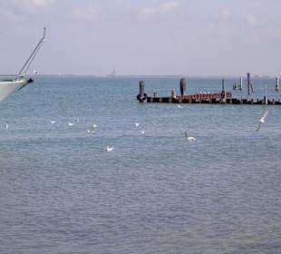 Küste der Muschelinsel