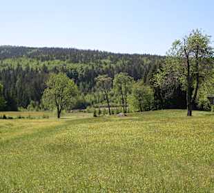 Wandern Rabenstein-Bodenmais